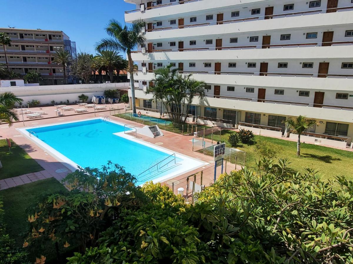 Apartment Camelias V19
