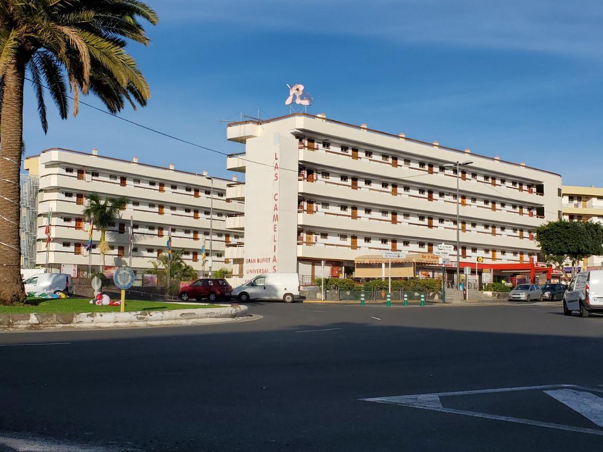 Camelias V19 Apartment